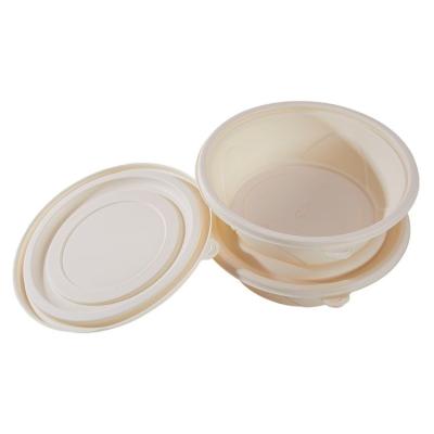 China Disposable Lunch Food Container Hot And Cold Biodegradable Eco Friendly Disposable Packaging Boxes Eco Tableware for sale