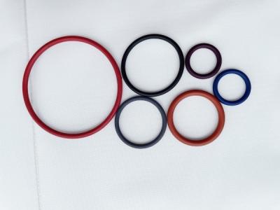 China Non Toxicity PTFE Sealing Rings Climate Resistance Easier Installation for sale