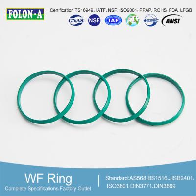 China Extreme Environments -18C-175C Operating Hydraulic Oil Seals for sale