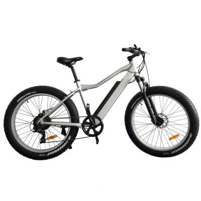 China Electric mountain bike 500w e bike high quality aluminum alloy factory price 750W tire wholesale for sale