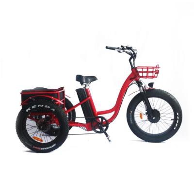 China Low Step Cargo Adult Fat Tire 3 Wheel Electric Tricycle For Female With 48V 500W Motor Power for sale