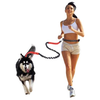 China Padded Running Dog Leash Pet Leash Reflective Elastic Running Dog Leash Sports Fitness Supplies for sale