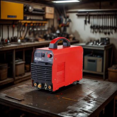 China Carbon Steel Processing WS-250 IGBT Inverter Tig Welder for Precision Work Weight 10 KG for sale