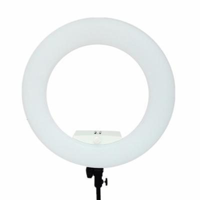 China Two Color Stepless Dimming Brightness FS-480II 48W Led Photo Studio Led Ring Light Lamp 3200K 5600K Photography Led Ring Light for sale