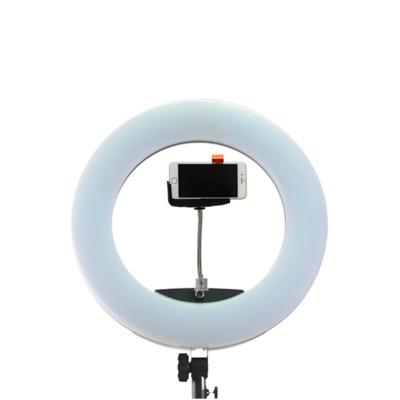 China FD-480II PORTABLE 96W dimming LED ring light 3200K 5500K studio led ring light makeup led light for sale