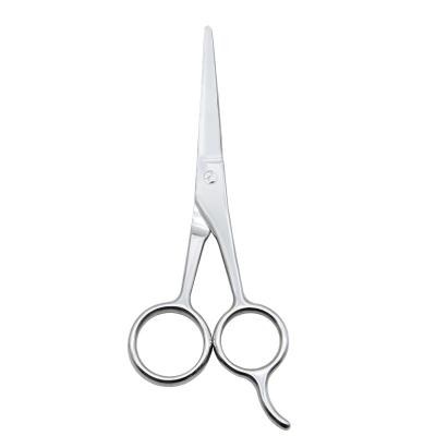 China New Design 2022 Modes High Quality Beauty Scissors Stainless Steel Silver Polish Hair Thinning Scissors 5 Inch Cutting Scissors for sale