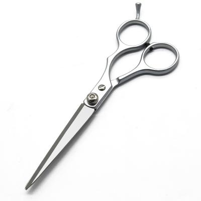 China Hot Sales Thinning Hairdressing Scissors Barber Hair Cutting Curved Scissors 6 Inch Shears Hair Beauty Amazon Scissors for sale