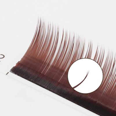 China Embellish Mink Supplies Fan Lashes Magnetic Eyelash Extension Trays 3D Fake Eyes Different Brown for sale