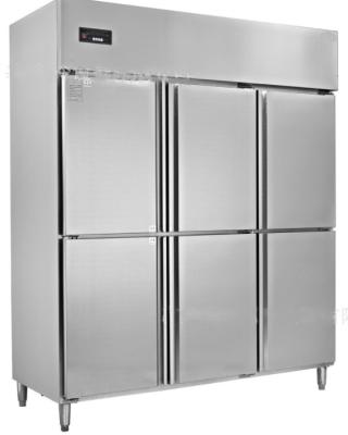 China Single-temperature Newslly Refrigeration Equipment 6 Door Upright Freezer Commercial Refrigerator for sale