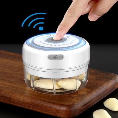 China Stainless Steel Electric Garlic Cutter Grinder Meat and Spice Crusher Usb Charge Dismountable Cleaning Garlic Grinder Mini Wireless Garlic Shredder for sale