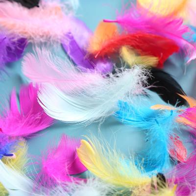 China 5g Plastic Transparent Flip Ball Feathers Birthday Party Costume Props Decoration Colorful Feathers for sale