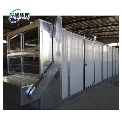 China Heat Pump Network Belt Dryer for Apricot Papaya Date and Dried Coconut Drying Equipment for sale