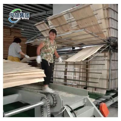 China Professional Solution Wood Veneer Drying Machine For Manufacturing Process for sale