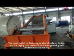 mesh belt dryer