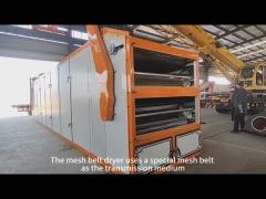 mesh belt dryer