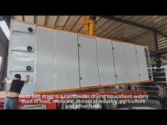 mesh belt dryer