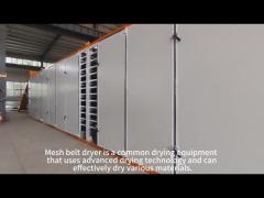 mesh belt dryer