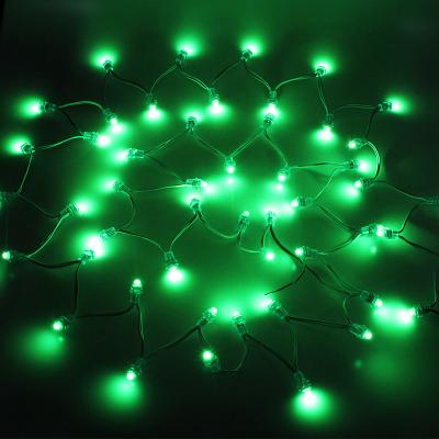 China LANDSCAPE LED light string cintas led btf lighting holiday lighting affordable led ltd for sale