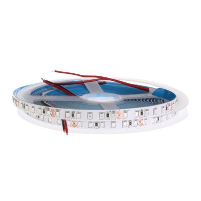 China Theme Park Remote Control Light Decoration Led Light Strip 2835-12v120 D8MM Copper Bracket Light Blu-ray for sale