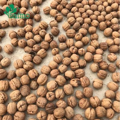 China WalnutThin-Dry Food Dry Raw Top Glass Common Walnuts With Shell Bulk China Wholesale Cheap Walnuts for sale