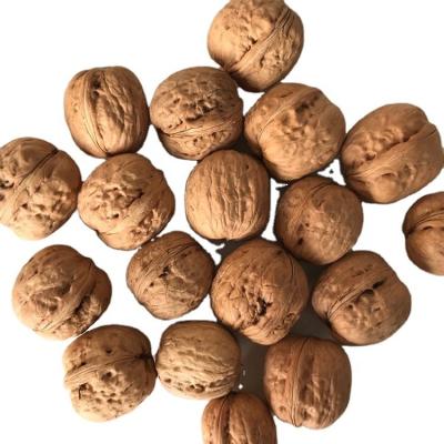 China Wholesale Cheap Price China Yunnan Dry Raw Thin Peeled Walnuts Sale Walnuts Dried Style Raw Walnut Meat for sale