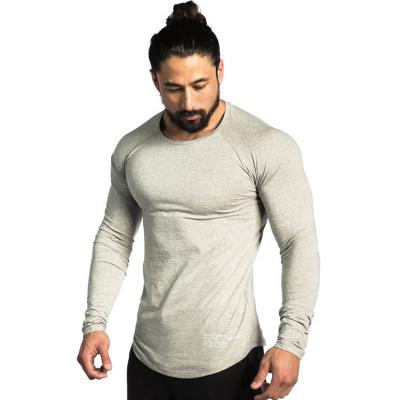 China Anti-Wrinkle Cutom Logo Men Fitness Workout Active Running T-Shirts Long Sleeves Sports T Shirt For Men for sale