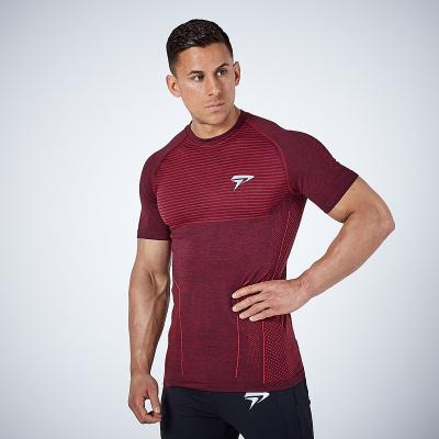 China Custom Running Cycling Men's Anti-Wrinkle Muscle Training T-shirt Dry Fit Wear Breathable Men's Breathable T-shirts for sale