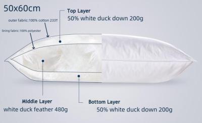 China Dubbel genaaid 50% laag kussenlaag en veren kussen 100% katoen bedekking zacht medium stevig Te koop