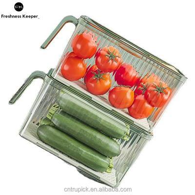 China Freshness Preservation BPA-FREE Clear Food Storage Bins Fridge Plastic Organizer with Freshness Timer Lid for sale