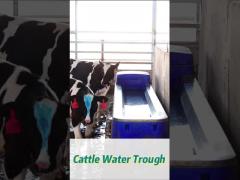 Drinking Cow Waterer Suitable For Livestock 350mm In Height