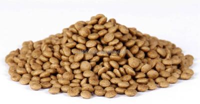 China Dog Pet Foodstuff Machine Extruded Food Shaped Pellets And Chips Making Machinery For Cat Dog for sale