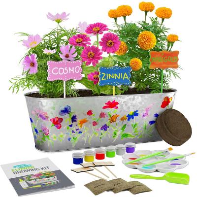 China Breathable Painting Plant Horticulture Kit For Kids Gardening Kits Art Projects Drawing Toys for sale