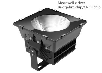 China IP65 100-277V external led flood lights with MEANWELL driver for sale