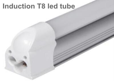 China Energy Saving 18Watt T8 LED Tube Light Fixture Cool White For Factory & Office for sale