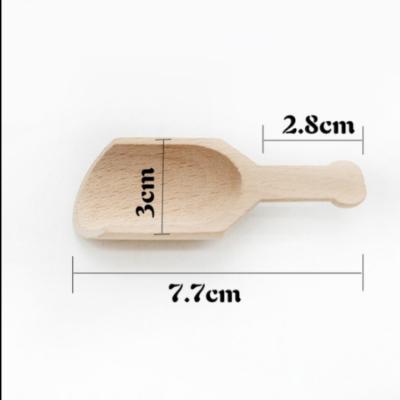 China Sustainable Factory Price 4 Kinds Wood Spice Salt Measuring Sugar Spoons Pot Spoon for sale