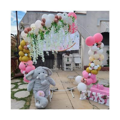 China Easily Assembled Hot Selling Elegant Steel Garden Axle Arch Flower Frame To Wedding Decorative Flower Arch for sale