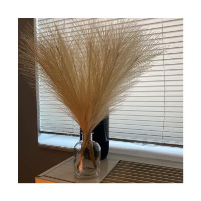 China 110CM Large Size Natural Wedding Decoration Wholesale Discount Touch Dry Flowers Brown Dried Pampas Grass for sale