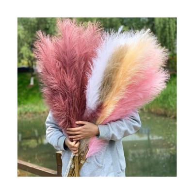 China Large Artificial Dry White Pampas Grass Natural Touch Pampas Grass Decoration Fake Fluffy White Rose Pampas Grass for sale