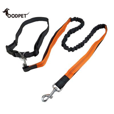 China Viable Retractable Hands Free Dog Leash for sale