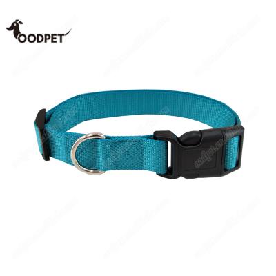 China 1 Inch Viable Classic Fast Fast Turquoise Nylon Dog Collar for sale