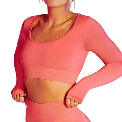 China Breathable Women Sports Suit Gym Clothing Workout Set High Waist 2PCS Fitness Leggings Sports Bra Sports Equipment Yoga Set for sale