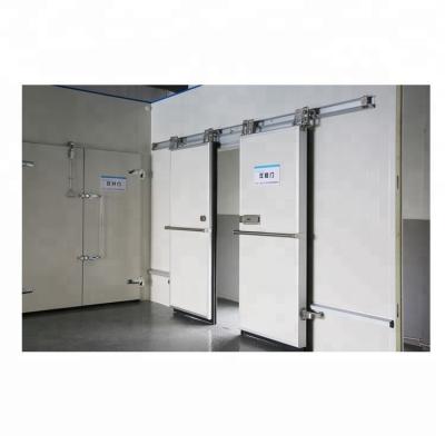 China Hotels Sale Low Price Cold Storage Room Room Cold Swing Hinge Whole Door Price for sale