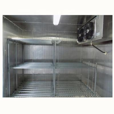 China Hot Fish Meat Cold Storage Room Hotels Hotels Promotion Frozen Freezer House Cold Price for sale