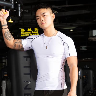 China Anti-Wrinkle Training Men Gym Short Sleeve Shirt Sports Fitness Full Logo Workout Clothing Custom Sweatshirt for sale