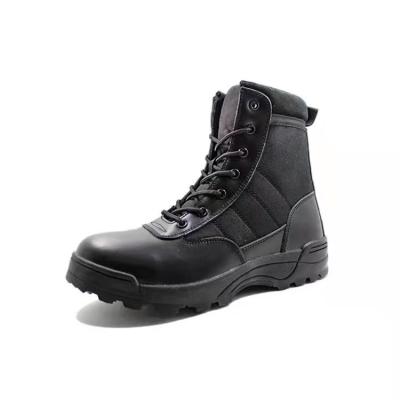 China High Top Desert Combat Boots Calçado tático para caminhadas e absorção de choques à venda