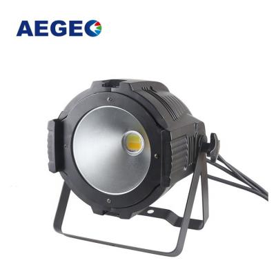 China CW/WW Effect High Power 200W 3200-5600K CW 2in1 LED Par COB Light for sale