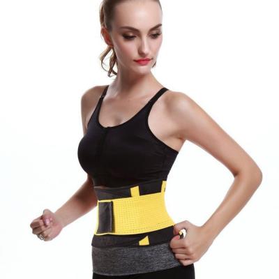 China Adult New Arrival High Quality Polyester Body Shaper For Women Waist Training Corset Sports Belt Girdle for sale