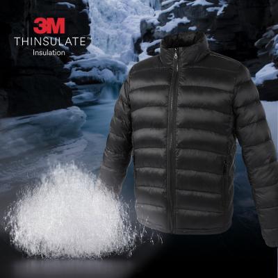 China 3M Thinsulate Insulation Men Coat Featherless Type Of Anti-wrinkle Down Jacket Man 100% FL 700 Fiber Polyester Material Filling Winter Down Jacket for sale