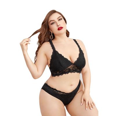 China Elegant Seamless 2 Piece Women's Bra And Panty Set Lace Up Sexy Sheer Plus Size Bra And Panty Set for sale