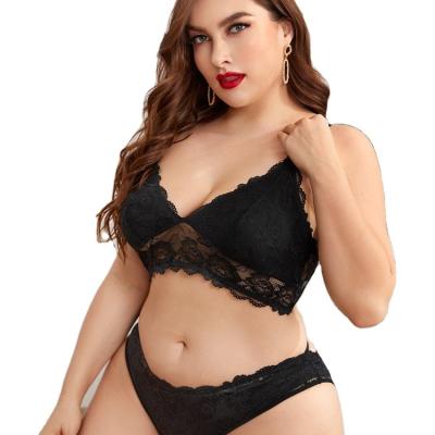 China Elegant Seamless 2 Piece Women Lace Up Sexy Transparent Plus Size Bra Panties Fancy Set for sale